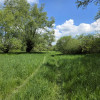 Działka Lubaszowa