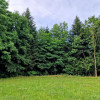 Działka Sitnica