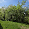 Dom Lubaszowa