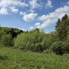 Dom Lubaszowa
