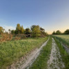 Działka Dąbrowa