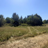 Działka Dąbrowa