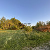 Działka Dąbrowa