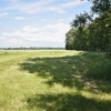 Dom Czyże