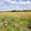 Działka Bielsk Podlaski Bielsk Podlaski