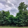 Działka Strzeniówka