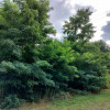 Działka Strzeniówka