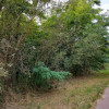 Działka Strzeniówka