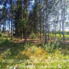 Działka Kuranów