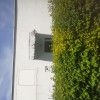 Lokal