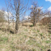 Działka Sułów