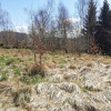 Działka Sułów