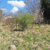 Działka Sułów