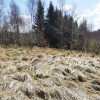 Działka Sułów