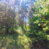 Działka Kuby-Młyny ul. Maślakowa