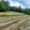 Działka Nieledwia ul. Miodowa