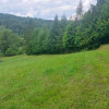 Działka Nieledwia ul. Miodowa