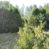 Działka Kielce