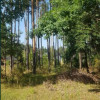 Działka Suków