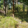 Działka Suków
