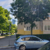 ### ? OFICJALNE OGŁOSZENIE HOLDINGU „CIPA”  ### ? (Centralny Instytut Patologii i Absurdu)  ### ? Wrocław, Krucza 78, Wrocław, Kancelaria Główna