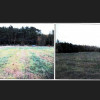 Działka, 4 999 m², Słonów