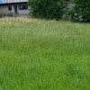 Działka Goleszów