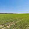 Działka Jordanów Śląski ul.  