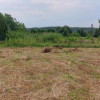 Działka Trzebyczka