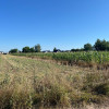 Działka Tarnowskie Góry Rybna