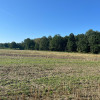Działka Tarnowskie Góry Rybna
