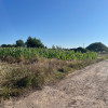 Działka Tarnowskie Góry Rybna
