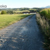 Działka Puńców