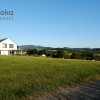 Działka Puńców