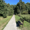 Działka Grzybowo