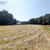 Działka Sieraków