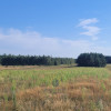 Działka Pałecznica ul.  