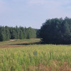 Działka Pałecznica ul.  
