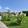 Dom Jasło