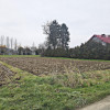 Działka Wróblowa