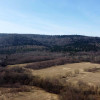 Działka Pielgrzymka