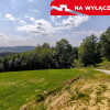 Działka 90 ar z Wz  Olszowa, TANIO !