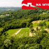 Działka 90 ar z Wz  Olszowa, TANIO !