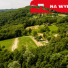 Działka 90 ar z Wz  Olszowa, TANIO !