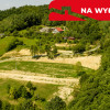 Działka 90 ar z Wz  Olszowa, TANIO !