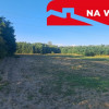 Urocza działka tuż przy lesie. Majdan Stary