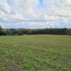 Działka Stary wiec