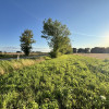 Działka Dryżyna ul.  