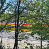 Wołoska/Dąbrowskiego - z widną kuchnią i piwnicą