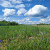 Działka Kamionka